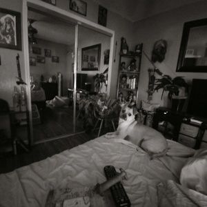 Meet your Posher, Judith